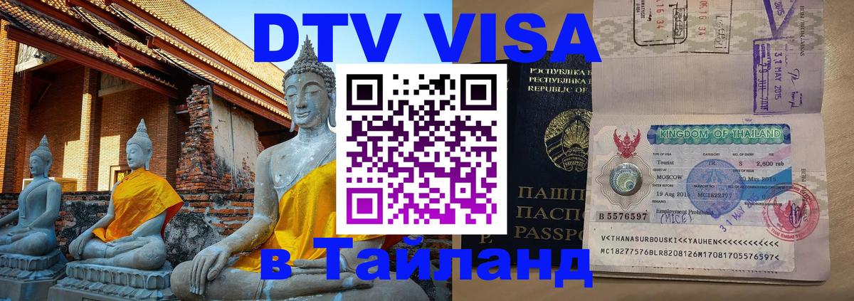 Оформление DTV визы под ключ: стоимость и тарифы, только загранпаспорт - Саранск  08.01.2026 